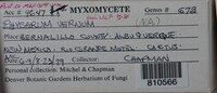 Image Associated With the Occurence